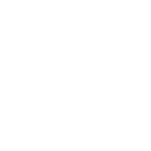 last-level